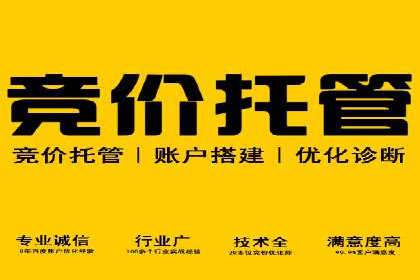 成功案例揭秘：百度SEO推广公司如何助力企业品牌建设